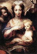 Madonna with the Infant Christ and St John the Baptist  gfgf BECCAFUMI, Domenico